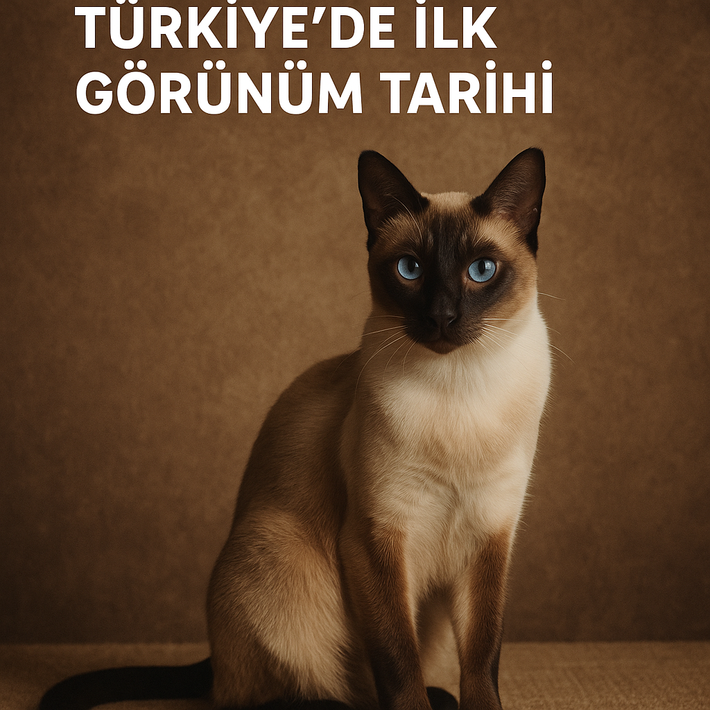 Siyam Kedileri: Türkiye’de İlk Görünüm Tarihi